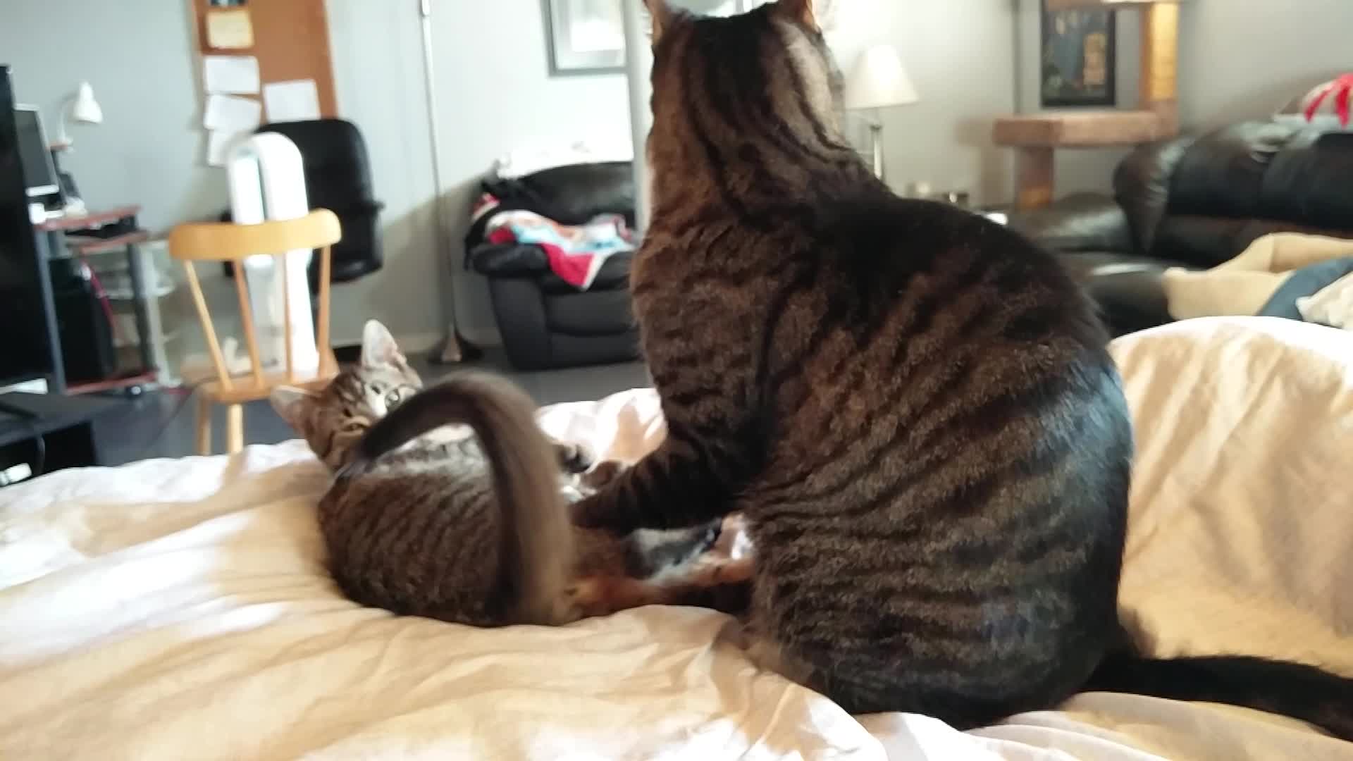 I love 44th Street quick and easy meals